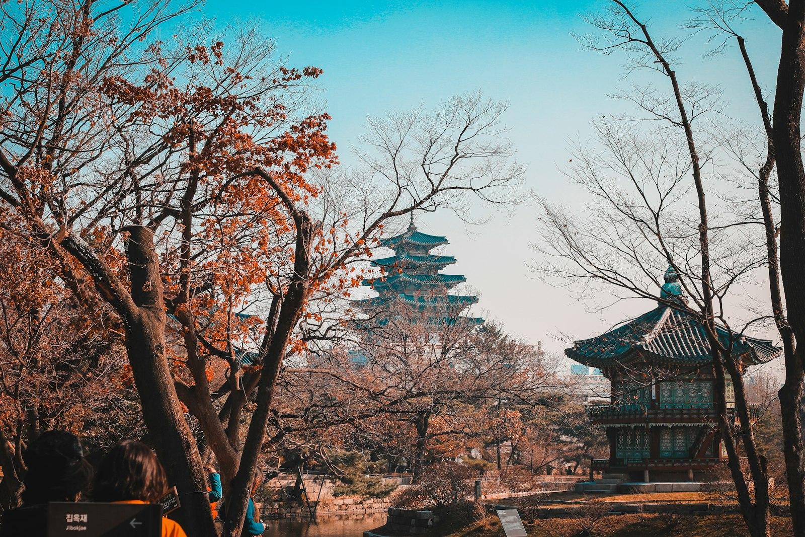 Южная Корея для переезда в 2026 году: Digital Nomad и Talent Visa