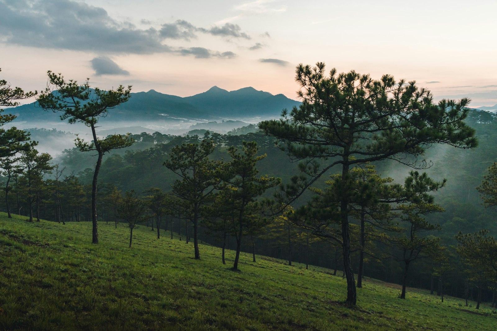 Da Lat — фото 1