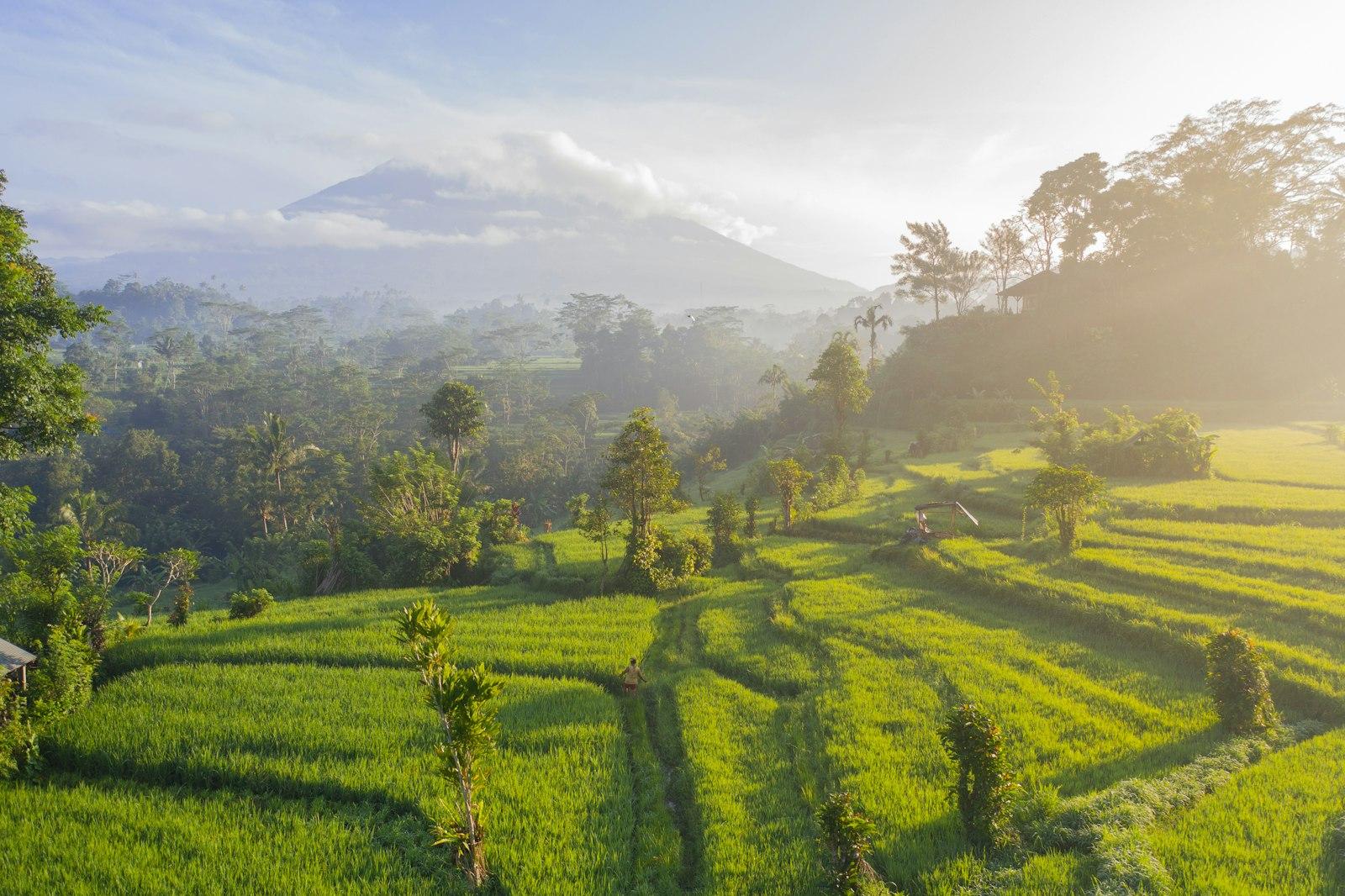 Бали Индонезия DN IT 2026: Digital Nomad Visa E33G, Canggu, Ubud, стоимость жизни