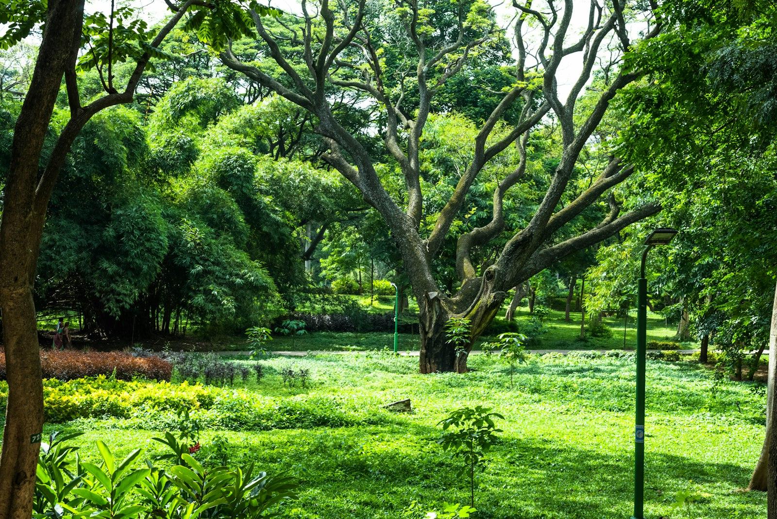 Каббон-парк (Cubbon Park)