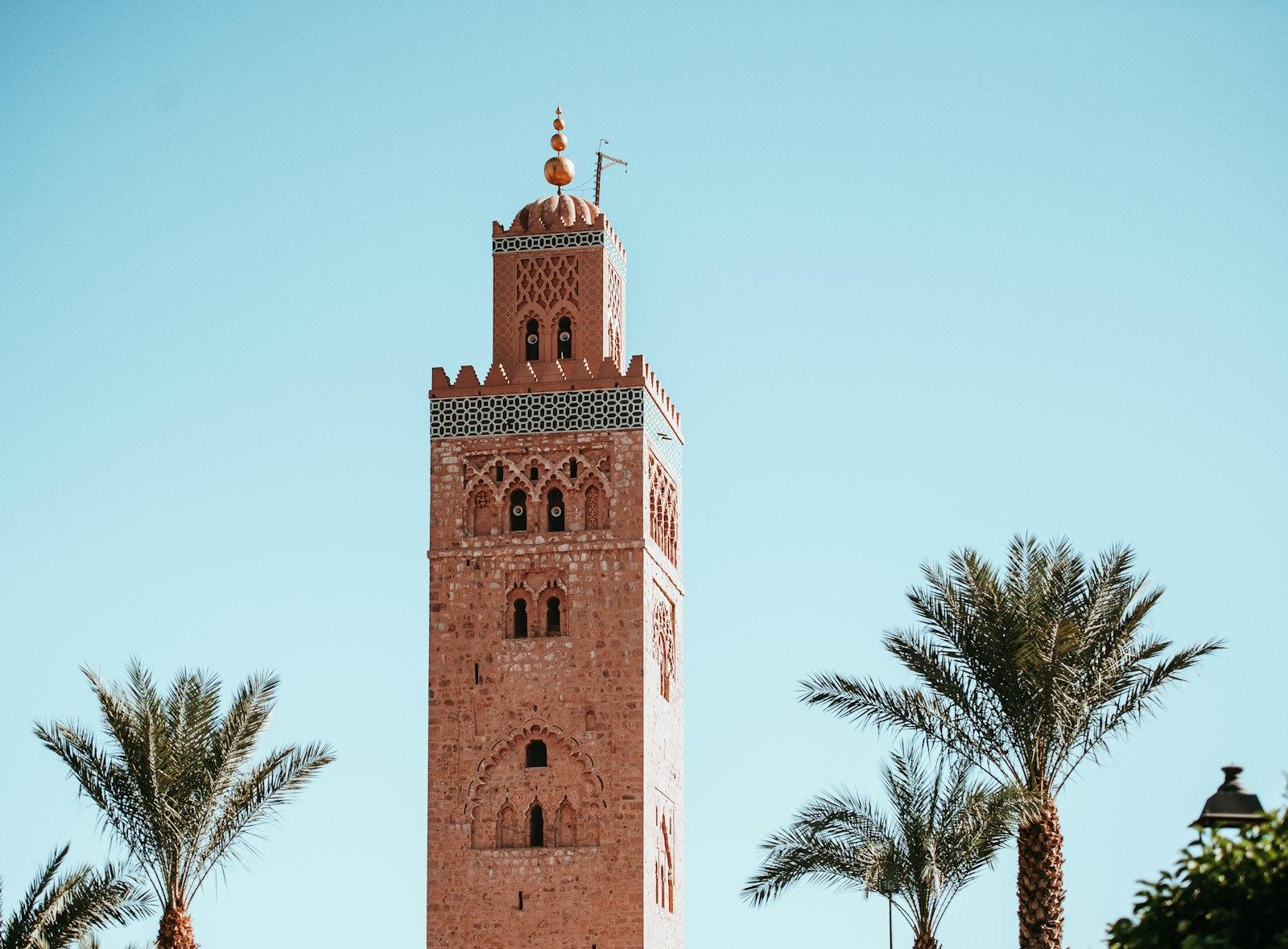 Marrakesh — фото 5
