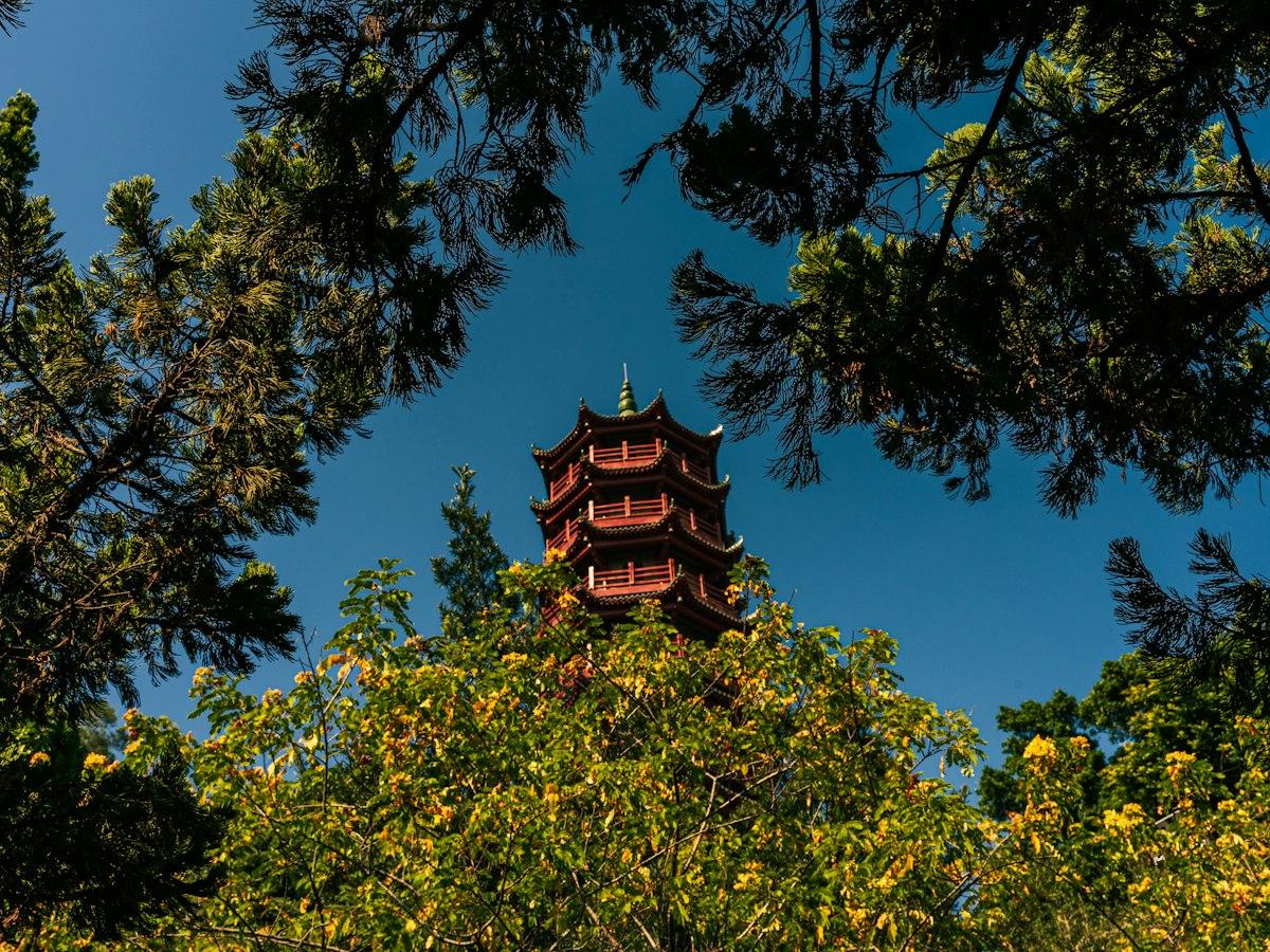 Храм Шести баньянов (Six Banyan Temple)
